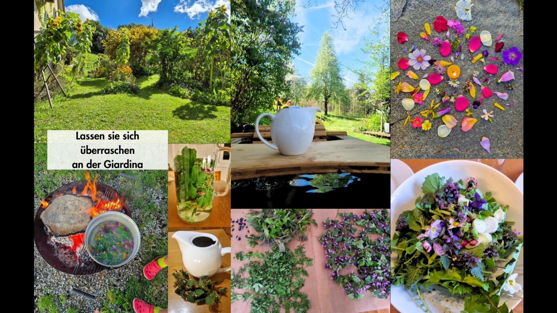 Eine Collage von Szenen im Freien und mit Lebensmitteln: ein üppiger Garten, eine weiße Teekanne auf einem Holztisch, ein farbenfrohes Blumen- und Blättermandala, Kräuter, die über einem Feuer gekocht werden, frische Kräuter in Gläsern und ein Salat mit Blumen. Der deutsche Text ist sichtbar.