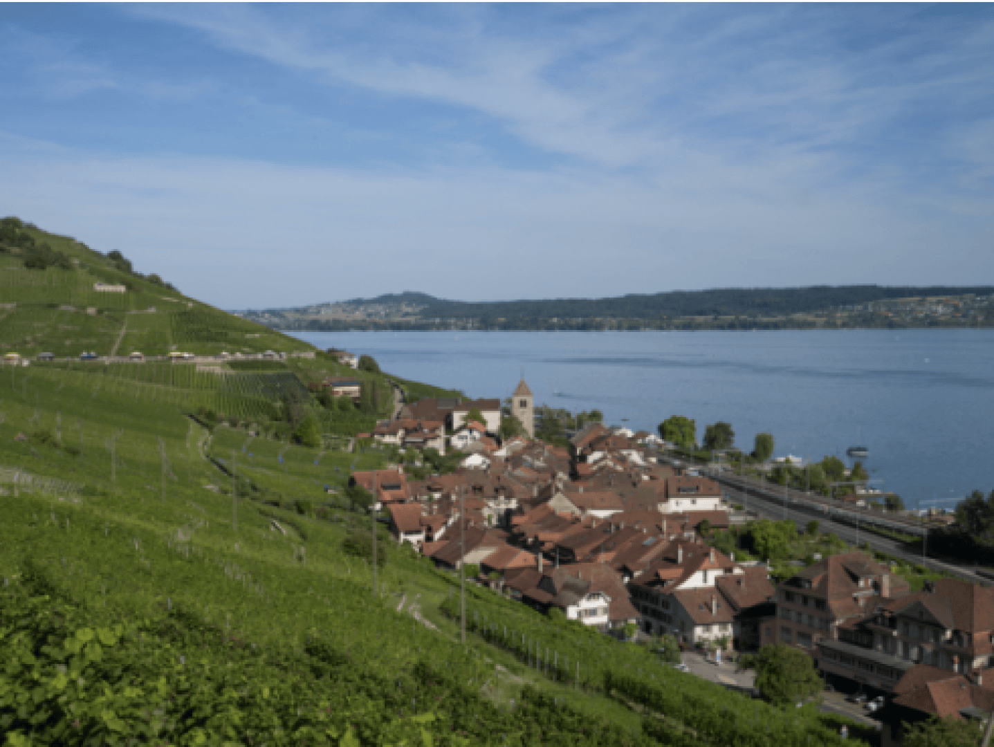 A picturesque lakeside village with red roofs lies between green vineyards and a blue lake under a clear sky, with distant hills in the background.