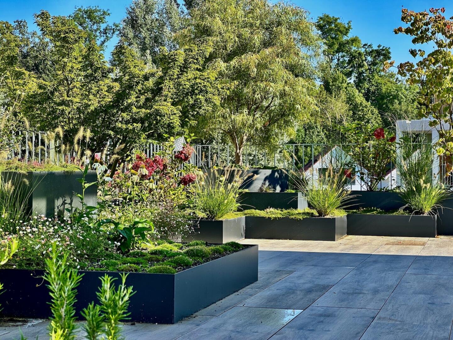Ein moderner Dachgarten mit erhöhten Pflanzgefäßen, gefüllt mit Blumen und Gräsern, umgeben von üppig grünen Bäumen, unter einem klaren blauen Himmel. Der Bereich hat einen gefliesten Boden und ein Metallgeländer.