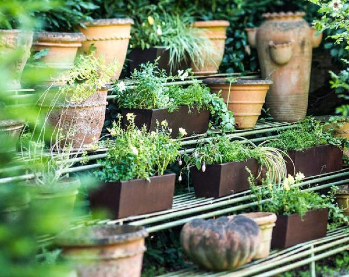 A variety of terracotta and rectangular planters with green plants are arranged on tiered bamboo shelves in a lush garden setting, surrounded by greenery and pottery.