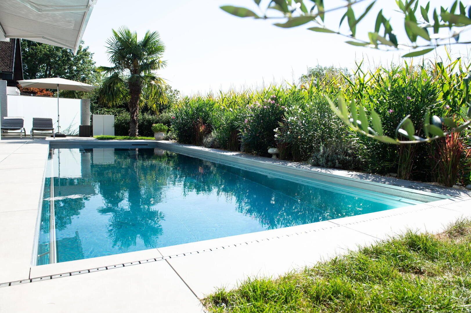 Ein klarer blauer Swimmingpool, umgeben von üppigem Grün, Palmen und hohen Pflanzen, mit Liegestühlen und einem Sonnenschirm im Hintergrund an einem sonnigen Tag.