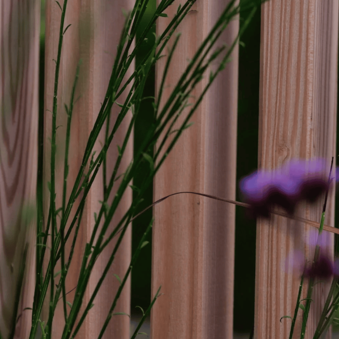Tall green grass and a purple flower are in front of vertical wooden slats with a smooth, natural finish. The background is out of focus, highlighting the plants against the wood.