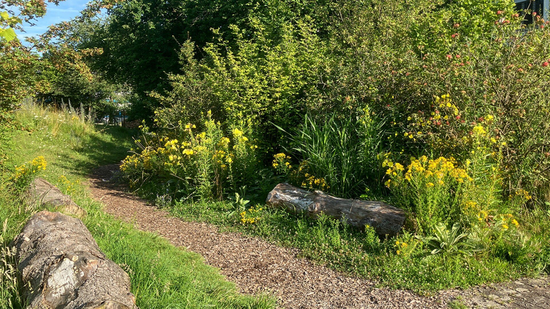 Ein schmaler Feldweg schlängelt sich durch üppiges Grün mit gelben Wildblumen und hohen Büschen auf beiden Seiten. Das Sonnenlicht fällt durch die Bäume und beleuchtet das Laub und die Baumstämme, die den Weg säumen.