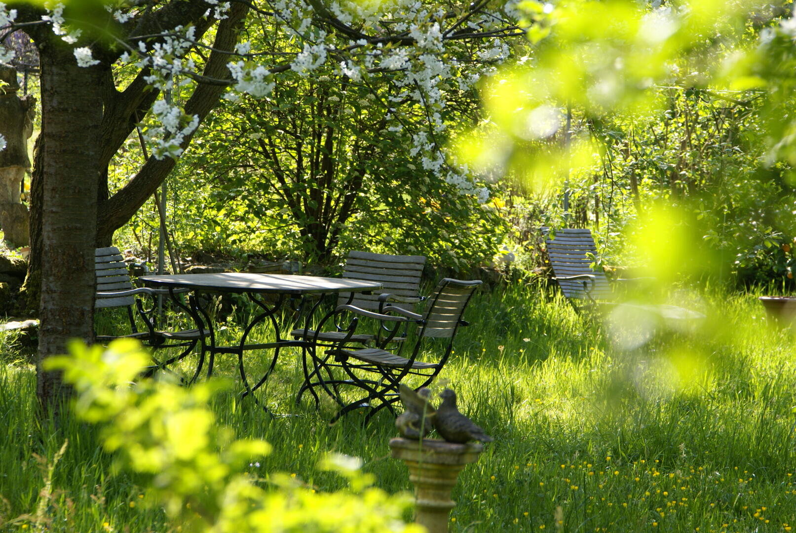 A garden with metal tables and chairs under a blossoming tree, surrounded by greenery and subdued sunlight. A bird sits on a small stone fountain in the lush grass.