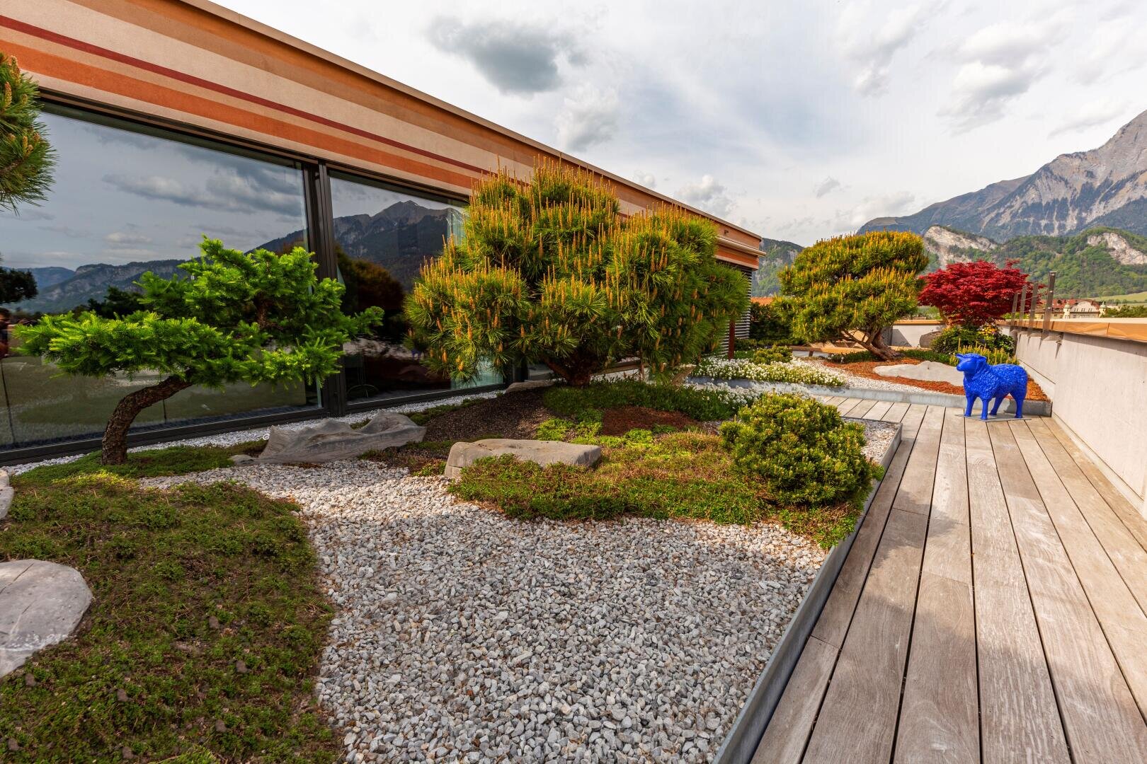 Ein moderner Dachgarten mit kleinen Bäumen, Sträuchern, weißem Kies und einem Holzsteg. Eine blaue Schafskulptur steht neben einem rotblättrigen Strauch, im Hintergrund sind die Berge zu sehen.