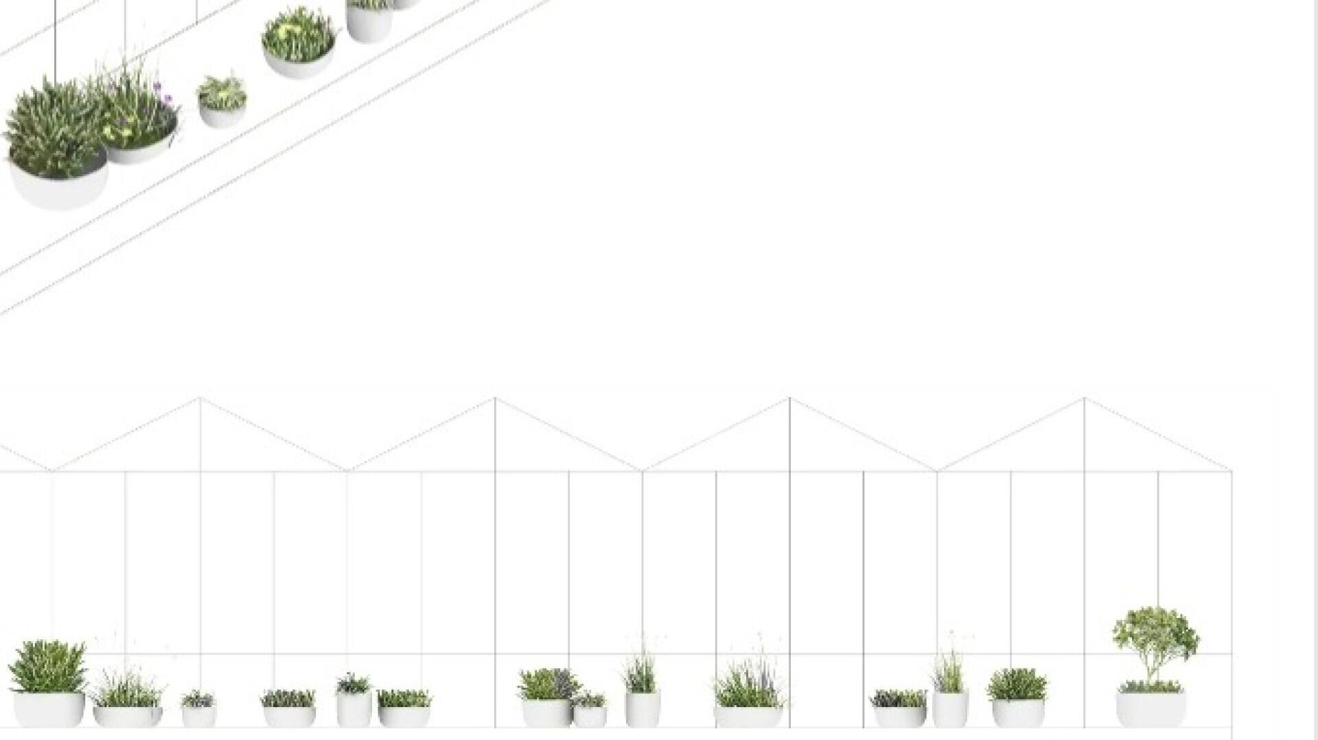 Minimalist illustration of white plant pots with various green plants, arranged in a row along the bottom and upper left side, set against a white background with faint geometric roofline outlines.