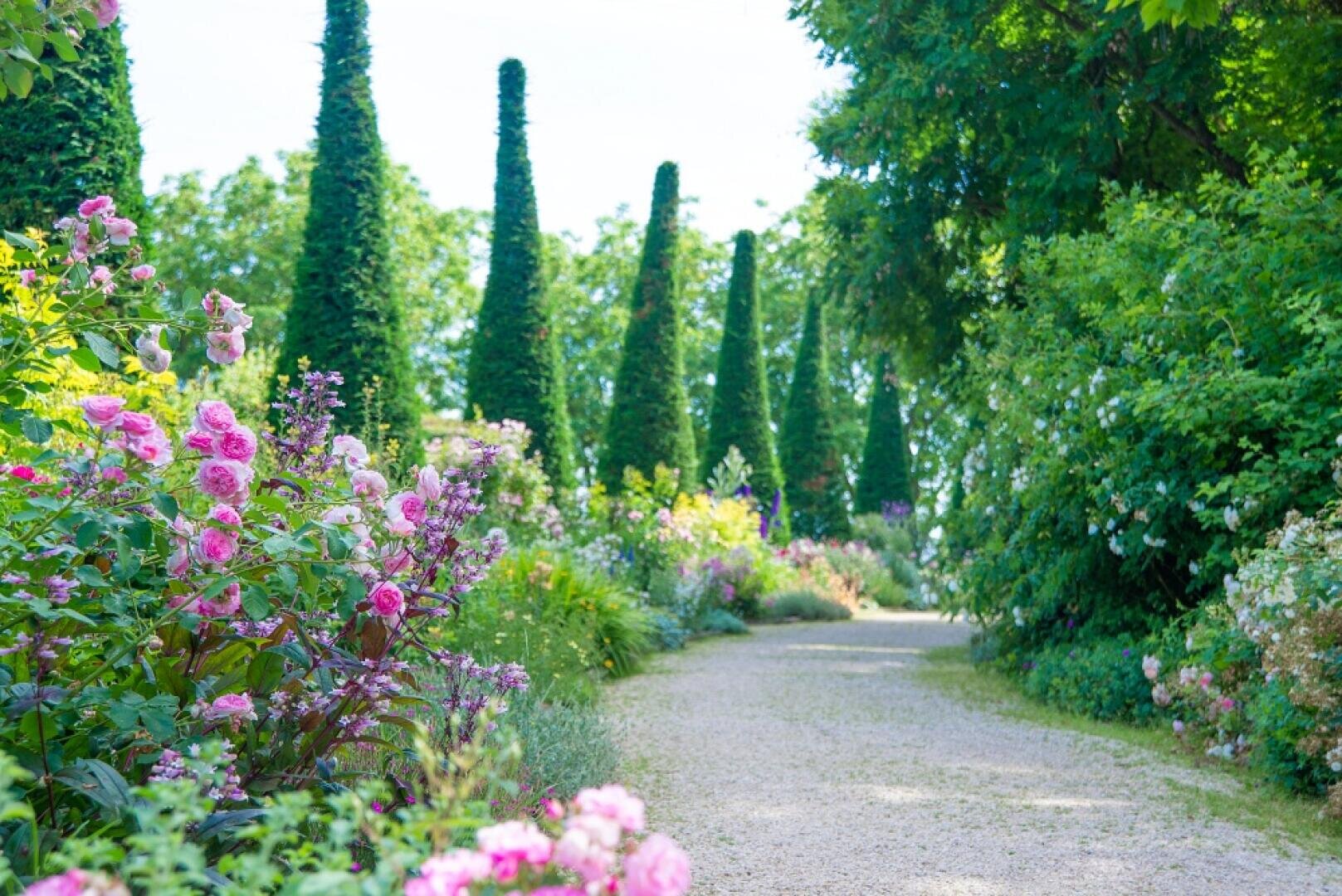 Ein Kiesweg schlängelt sich durch einen üppigen Garten mit rosa und violett blühenden Blumen, hohen, gepflegten Nadelbäumen und leuchtend grünem Laub unter einem hellen, klaren Himmel.