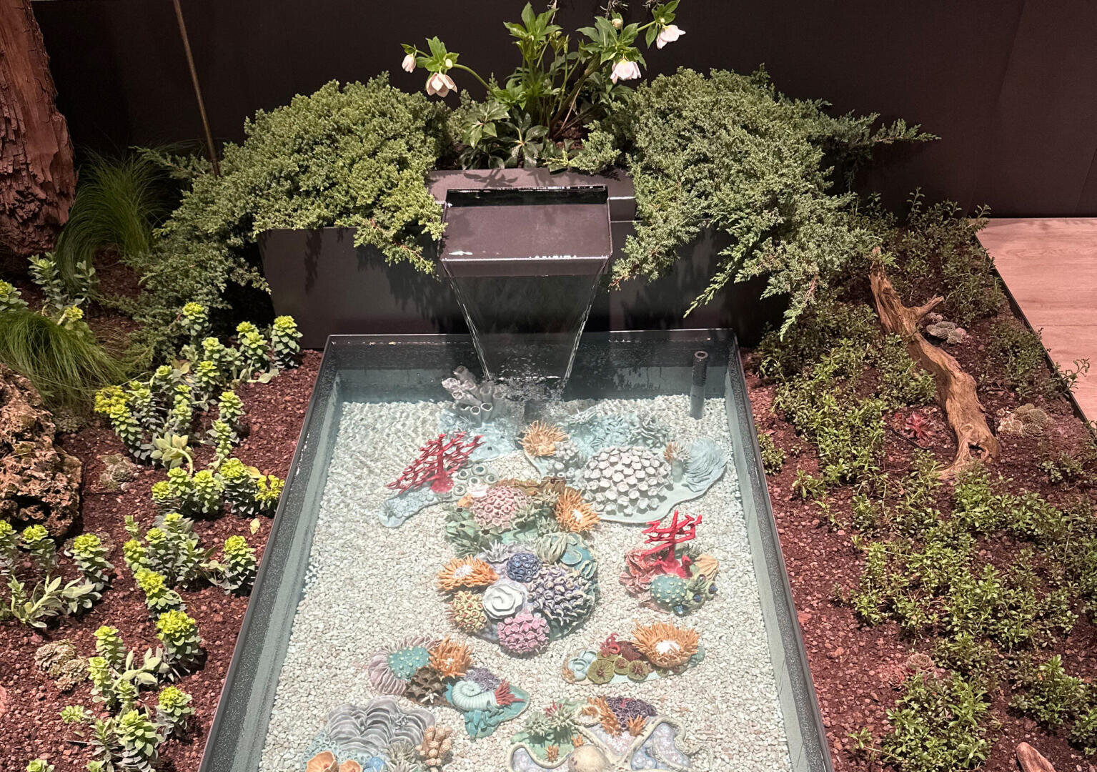 Ein kleines Wasserspiel für den Garten mit einem rechteckigen Becken, das mit dekorativen Korallenskulpturen gefüllt und von Grünpflanzen, Sukkulenten und blühenden weißen Blumen umgeben ist. Das Wasser fließt aus einem Ausguss in das klare Becken.