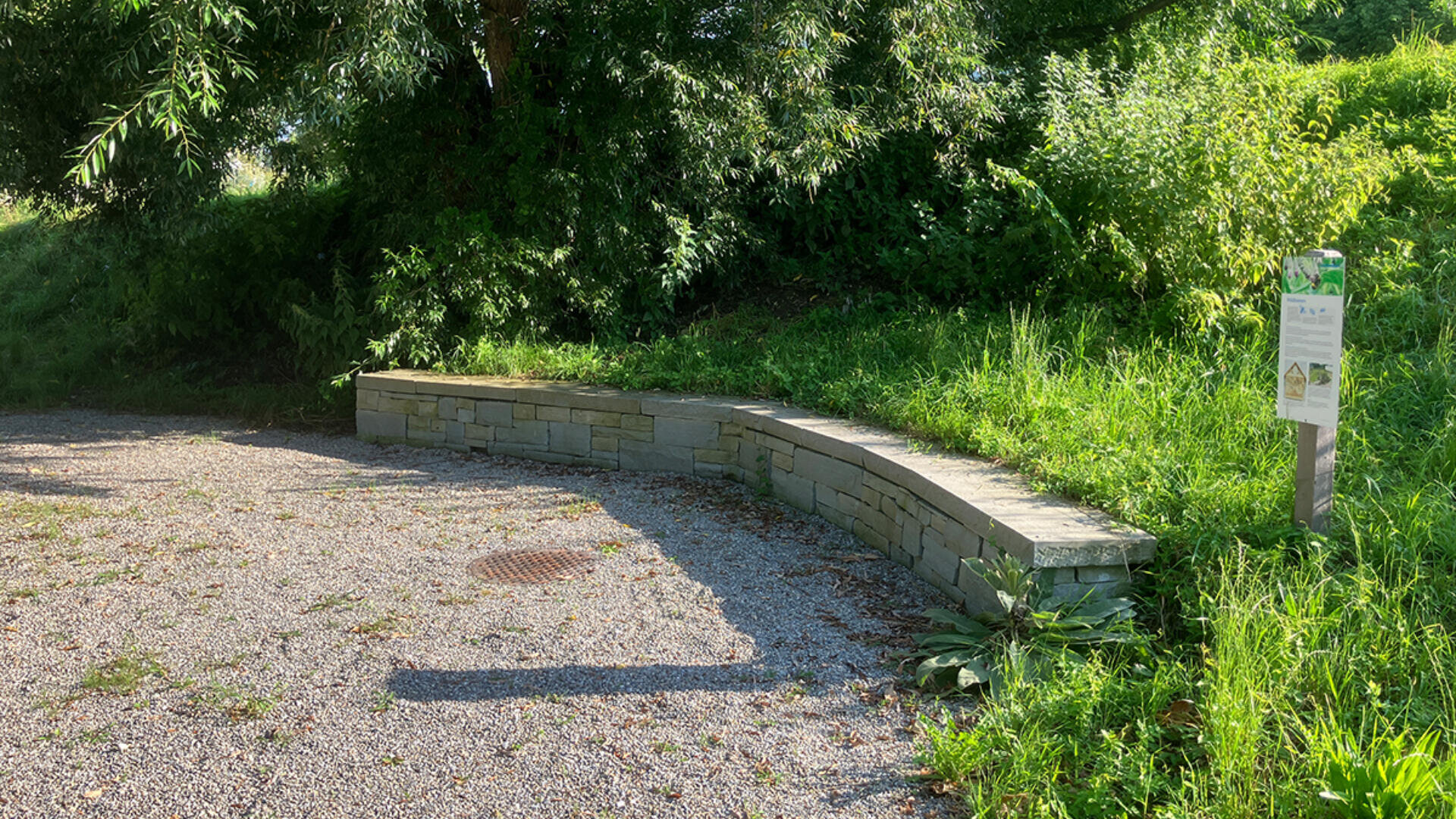 Eine niedrige, geschwungene Steinbank steht neben einem Kiesweg, der von grünem Gras und dichten Bäumen umgeben ist. Ein Metallschild mit Informationen steht in der Nähe im Sonnenlicht.