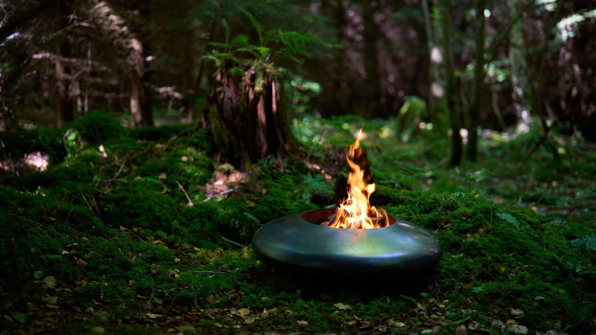 A small, modern fire pit with flames burning inside sits on a lush, mossy forest floor surrounded by green ferns and trees. Sunlight filters through the dense forest canopy.