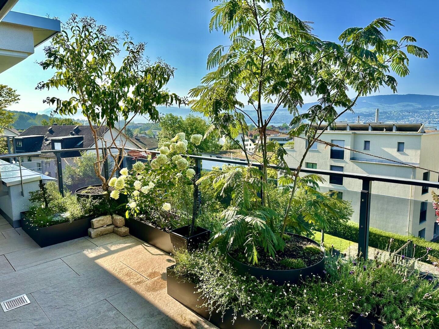 Ein sonniger Balkon mit großen Topfbäumen und blühenden Pflanzen blickt auf ein Wohngebiet mit modernen Gebäuden und grünen Hügeln im Hintergrund. Das Glasgeländer bietet einen freien Blick auf die Landschaft.