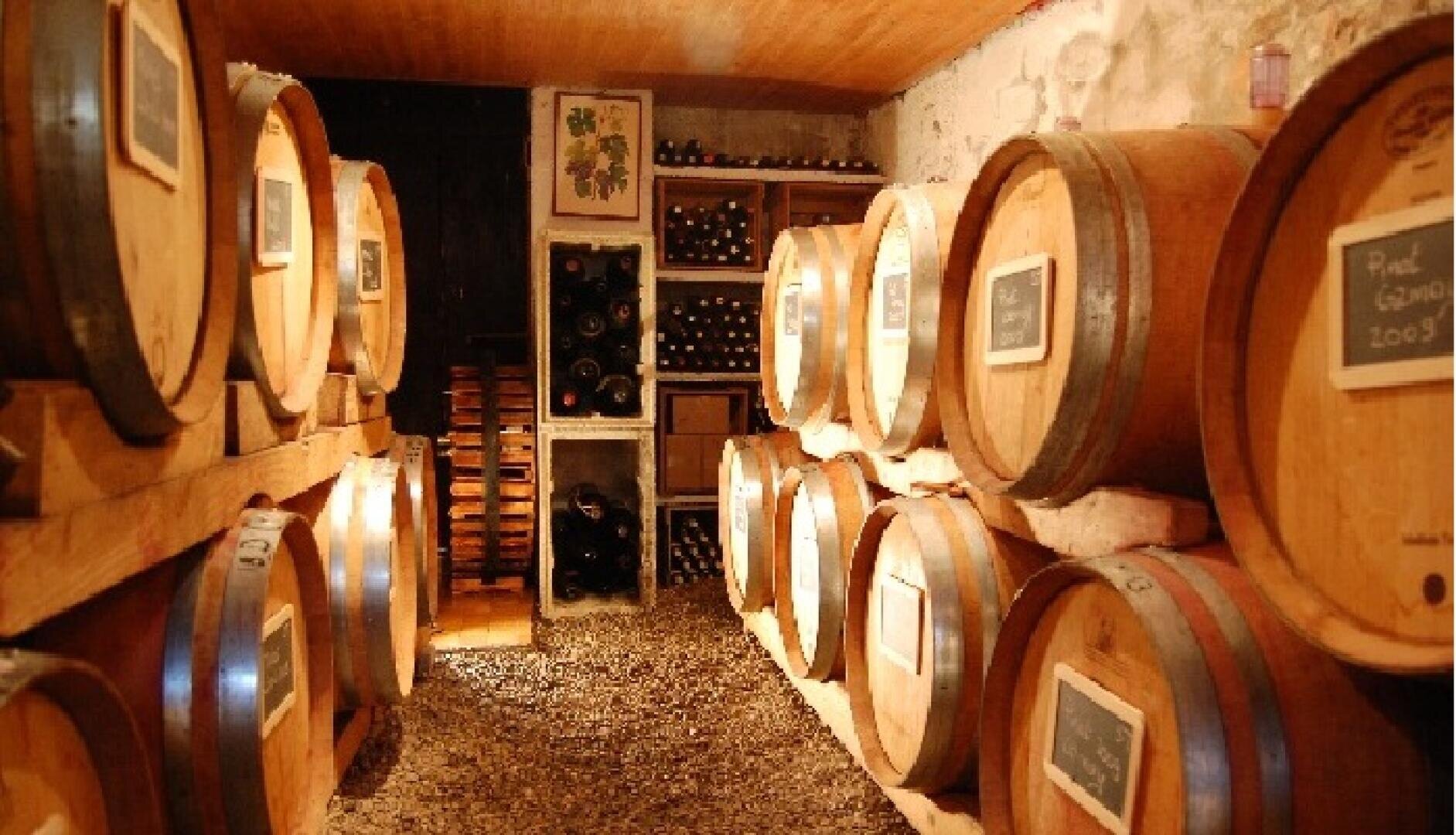 Ein Weinkeller mit Holzfässern, die auf beiden Seiten gestapelt sind, Flaschen, die in Regalen auf der Rückseite gelagert werden, und gedämpfte Beleuchtung, die das rustikale Ambiente und den Kiesboden unterstreicht.