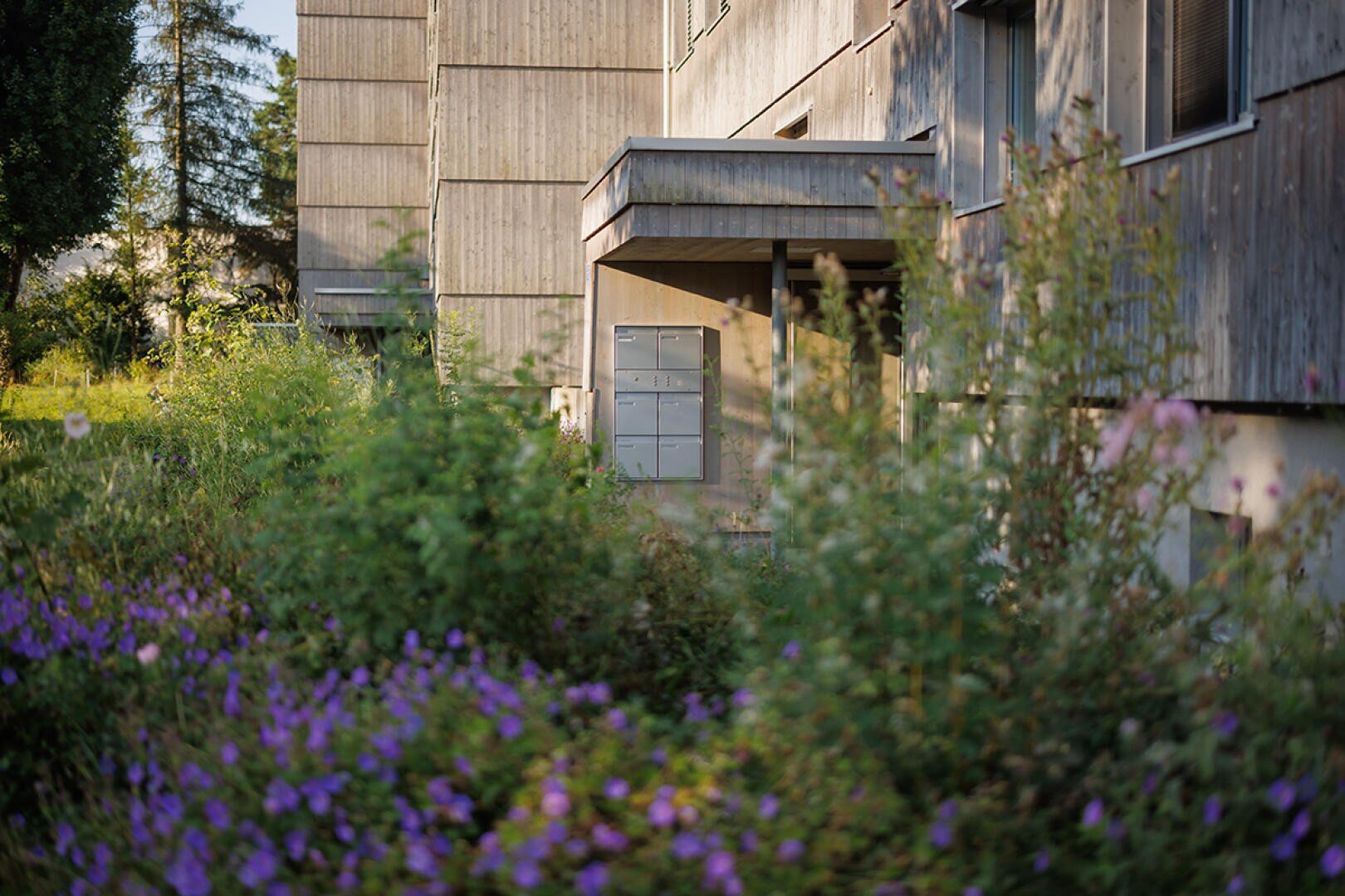 An der Wand vor einem Holzgebäude ist eine Reihe von Briefkästen angebracht, die teilweise von überwucherten Pflanzen und lila Wildblumen im Vordergrund verdeckt werden.