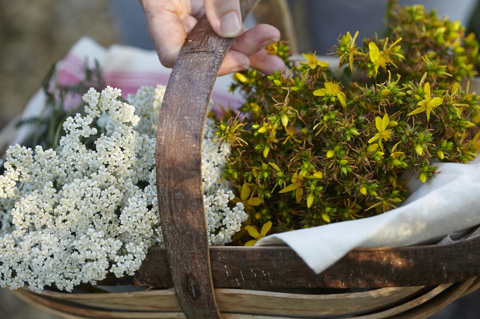 Eine Hand hält einen rustikalen Holzkorb, der mit frisch gepflückten weißen und gelben Wildblumen gefüllt ist und auf einem leichten Tuch im Freien ruht.
