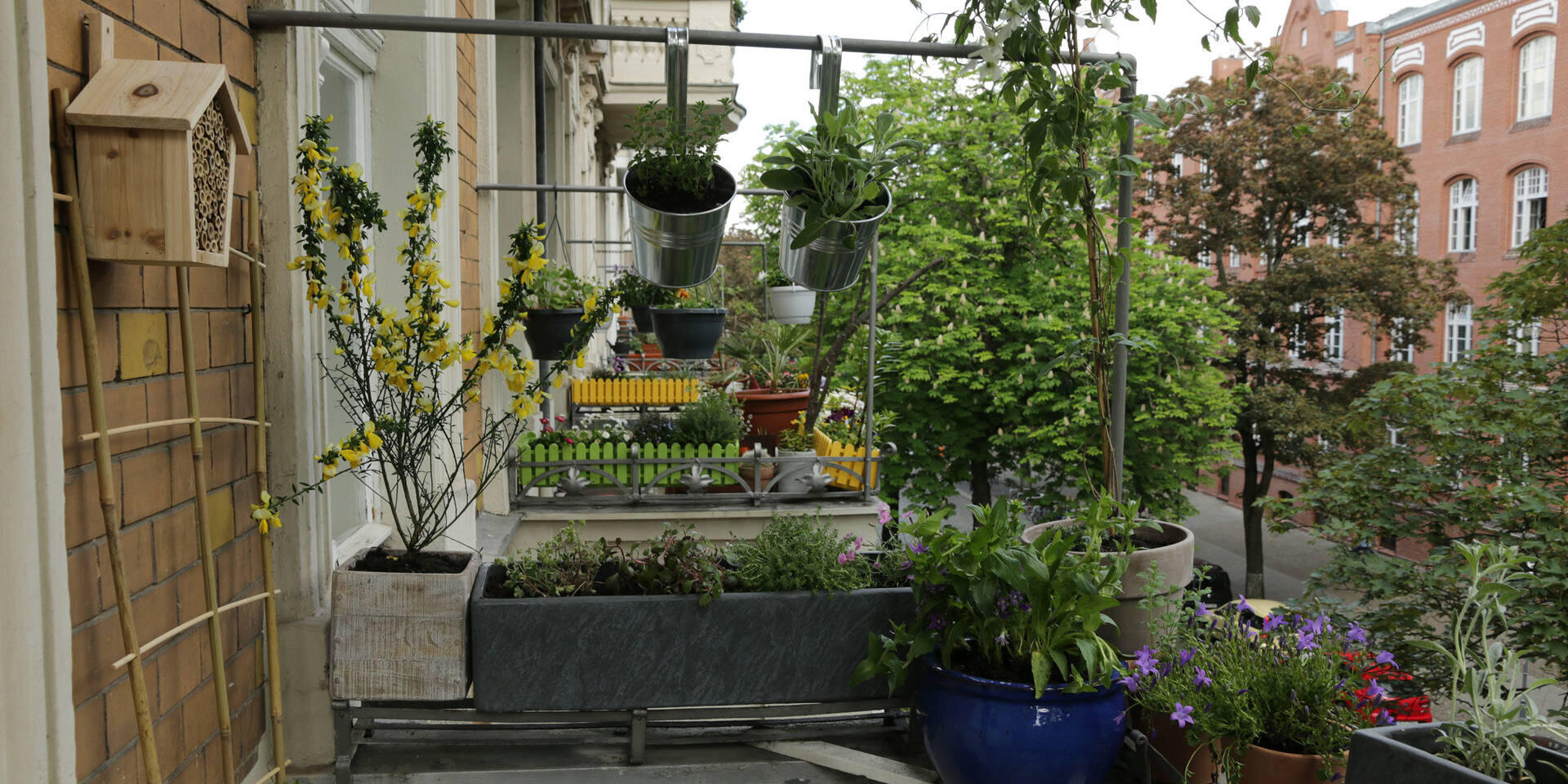 Ein Balkongarten mit verschiedenen Topfpflanzen, hängenden Pflanzgefäßen und bunten Blumen überblickt eine von Bäumen gesäumte Straße und Backsteinbauten. Links an der Wand ist ein hölzernes Vogelhaus angebracht.