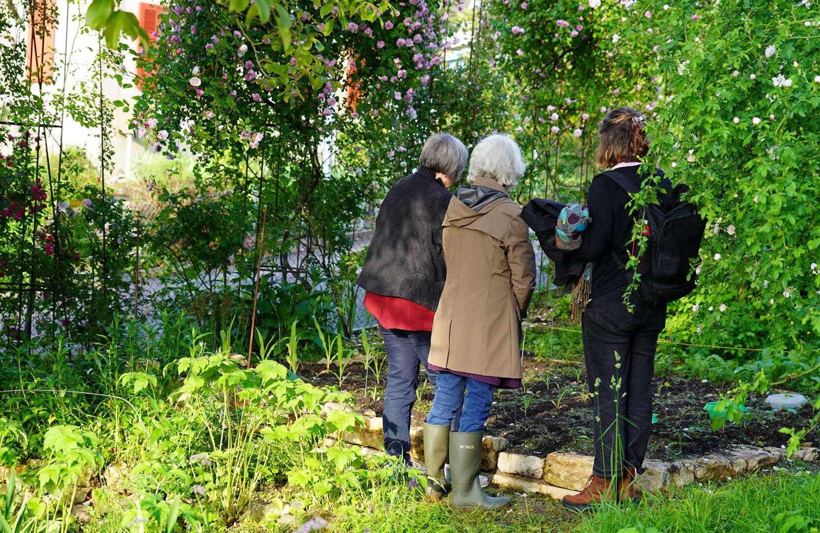 Drei Personen stehen eng beieinander in einem üppigen Garten, umgeben von grünen Pflanzen und blühenden Blumen, und beobachten ein Gartenbeet. Sie tragen legere Outdoor-Kleidung und stehen mit dem Rücken zur Kamera.