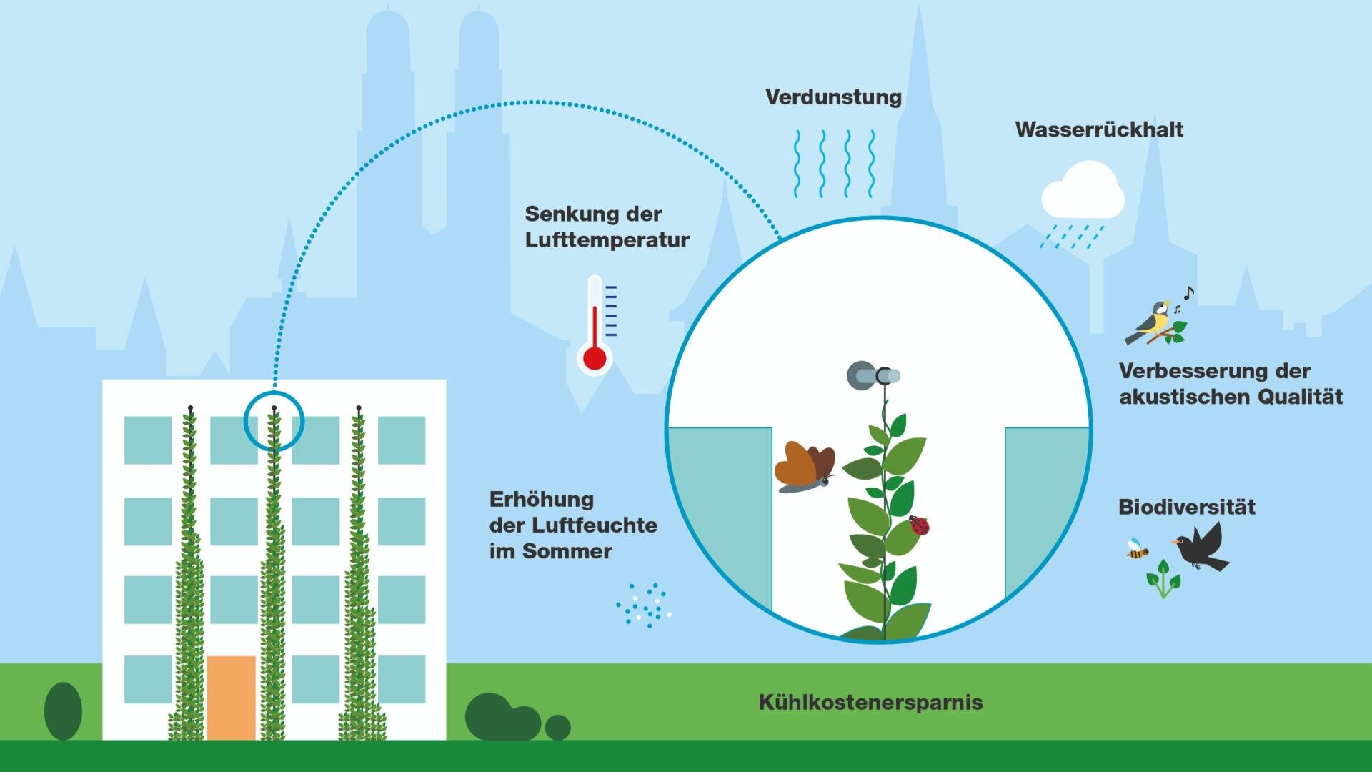Diagramm, das die Vorteile einer grünen Fassade an einem Gebäude zeigt: Kühlung der Lufttemperatur, Erhöhung der Luftfeuchtigkeit, Einsparung von Kühlkosten, Verringerung des Wasserabflusses, Verbesserung der Schallqualität und Förderung der biologischen Vielfalt.