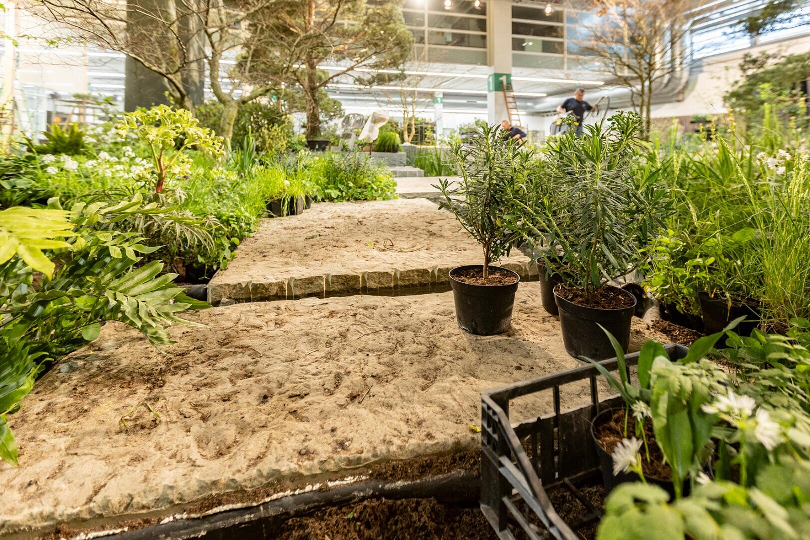 Ein Steinweg, umgeben von Topfpflanzen und Grünzeug in einem hellen, modernen Innenraum mit großen Fenstern im Hintergrund.
