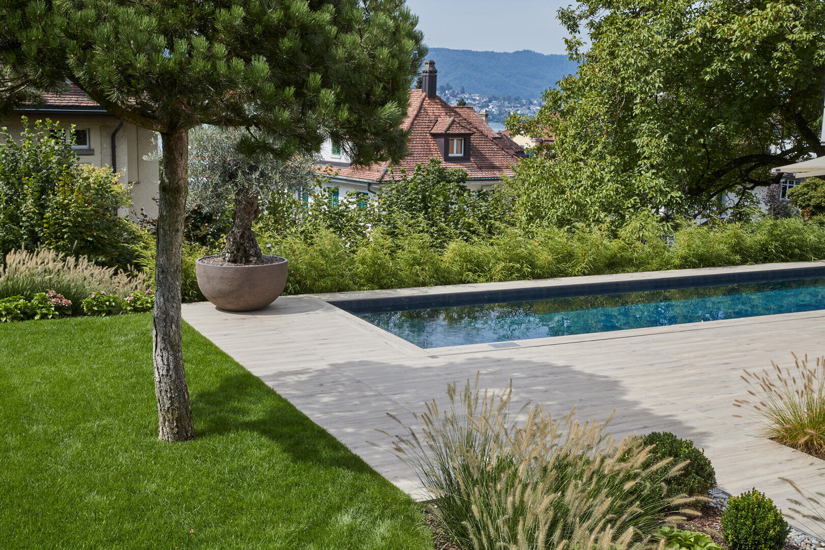 Ein moderner Garten mit einem rechteckigen Swimmingpool, einer Holzterrasse, üppigem grünen Rasen, Ziergräsern und einem Topfbaum, mit Häusern und Hügeln im Hintergrund.