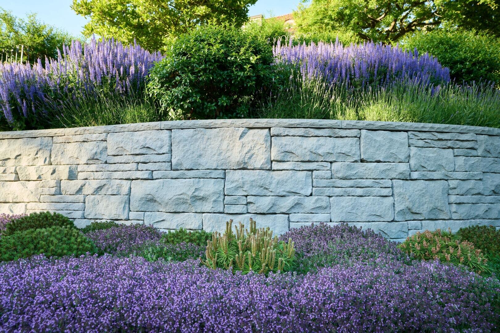 Eine Steinmauer mit sauber gestapelten Blöcken trennt üppig grüne Sträucher und Büschel blühender violetter Blumen vor einer Kulisse aus Bäumen und Sonnenlicht.