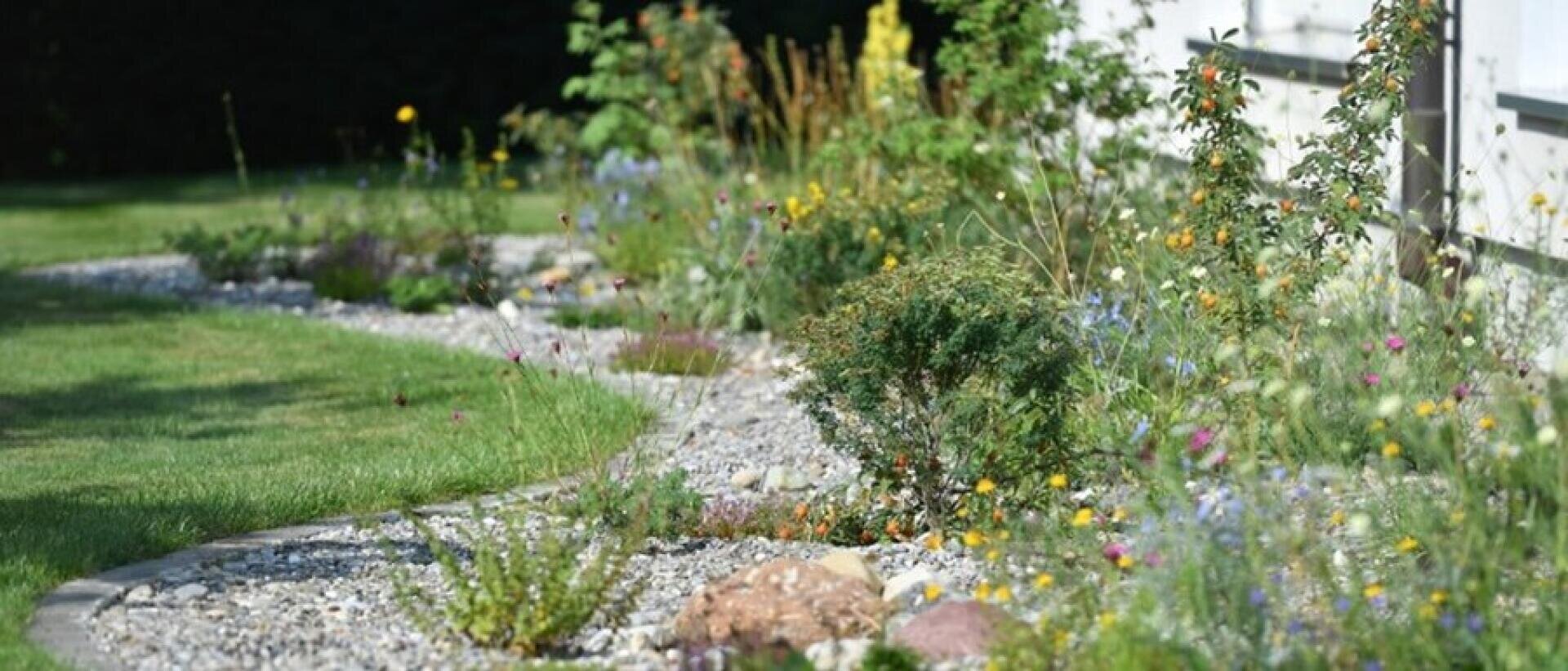 A curved garden bed with gravel mulch and scattered stones, with a mixture of wildflowers and green shrubs next to a white building, bordered by a manicured lawn.