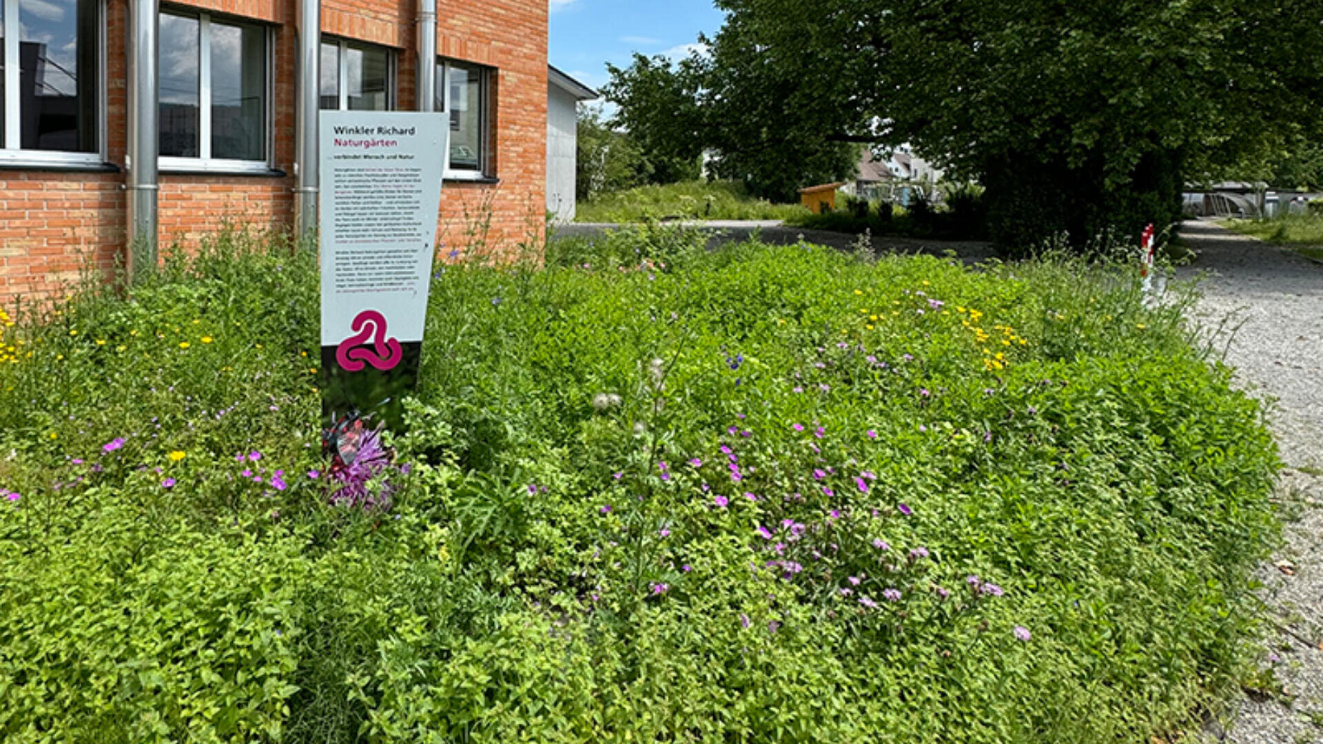 Ein Schild steht in einer üppigen, grünen Gegend voller Wildblumen neben einem Backsteingebäude. Ein großer Baum und einige weitere Gebäude sind im Hintergrund unter einem hellen Himmel zu sehen.