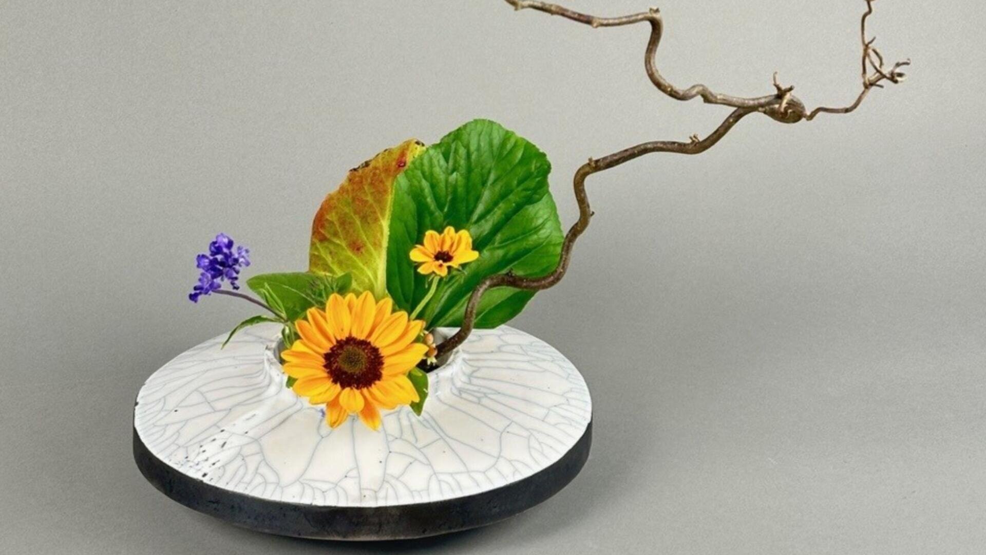 Ein minimalistisches Blumenarrangement mit gelben Gänseblümchen, einem grünen und einem braunen Blatt, einer kleinen violetten Blume und einem verschlungenen Zweig in einer zerbrochenen weißen runden Vase vor einem grauen Hintergrund.