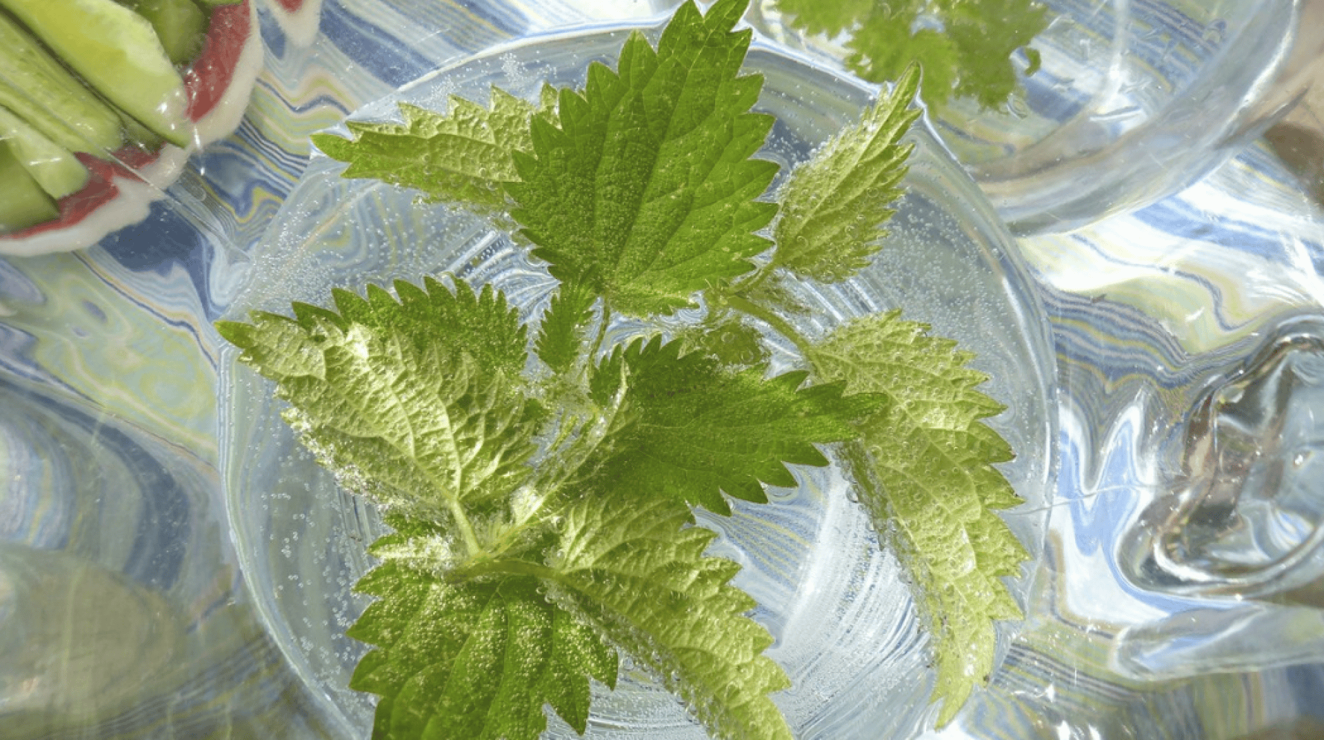 Close-up of green nettle leaves submerged in clear water, with bubbles clinging to the leaves. The glass container creates a wavy, reflective effect, and a partial view of another glass and sliced cucumbers are visible in the background.