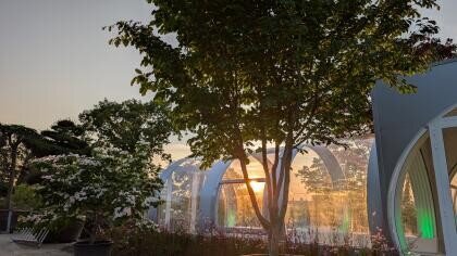 Bernhard Baumschulen AG