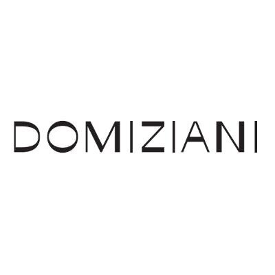 Logo Domiziani SRL