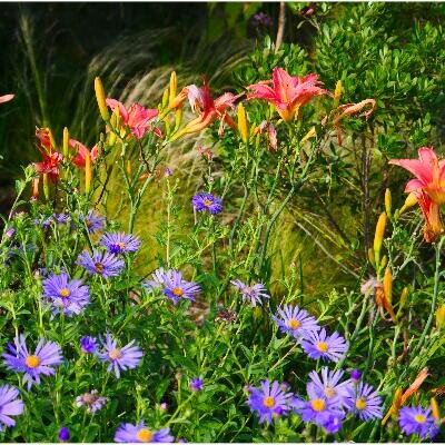 Logo perMatur - Landschaftsarchitektur