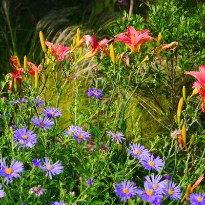 Logo perMatur - Landschaftsarchitektur