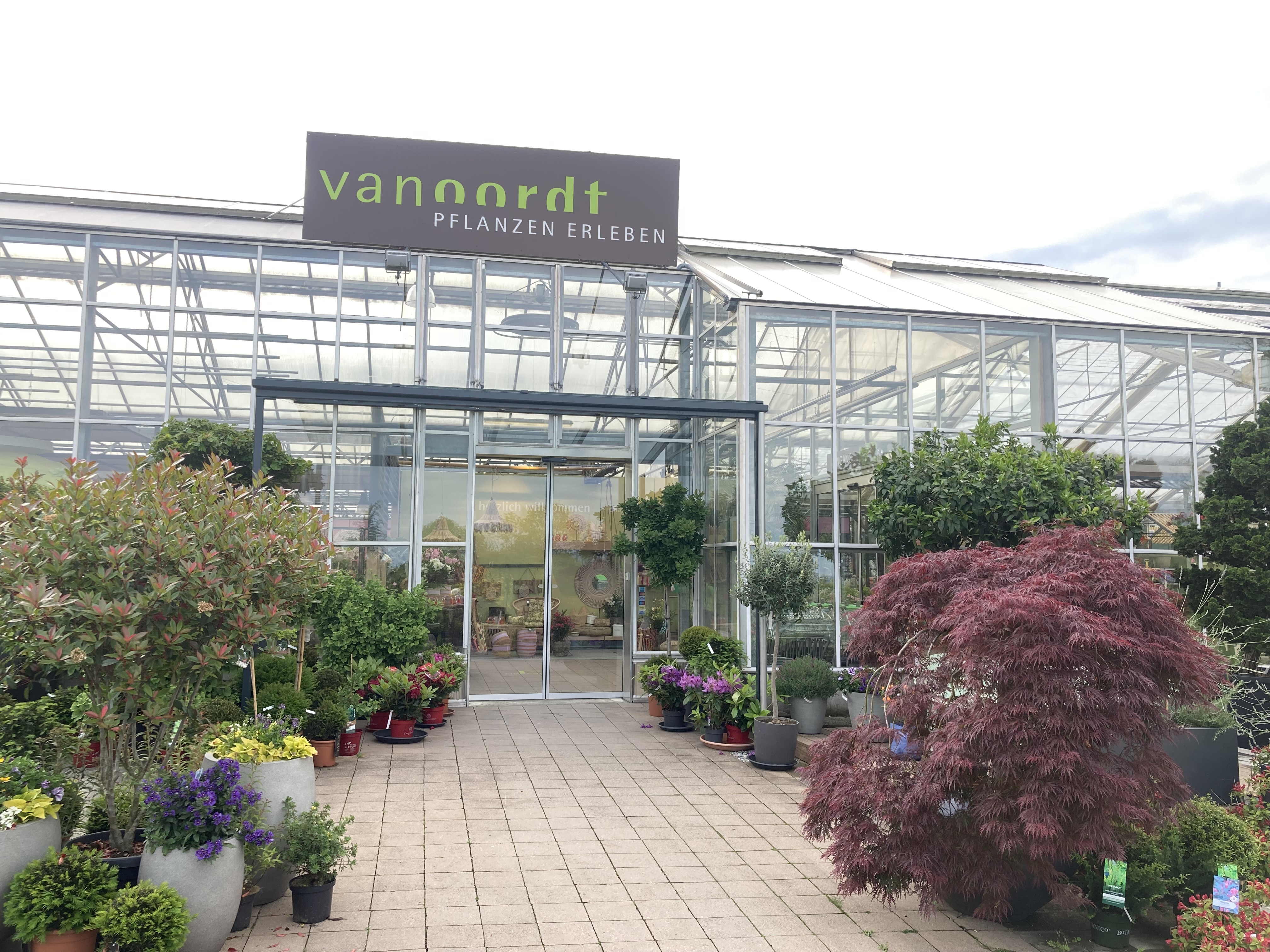 Der Eingang eines gläsernen Gewächshauses der Gärtnerei "van oordt Pflanzen Erleben" mit verschiedenen Topfpflanzen und Bäumen, die draußen auf dem Bürgersteig unter einem bewölkten Himmel stehen.
