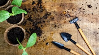 Gardening Tools & Technology
