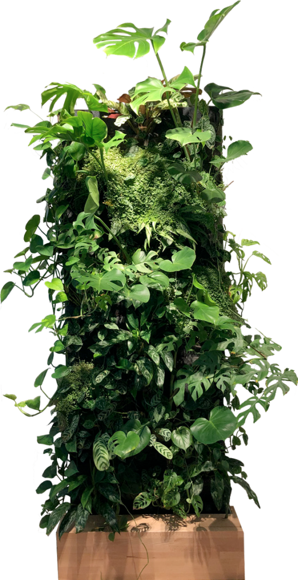 Plantwall