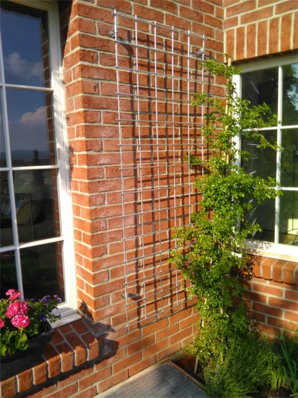 A metal trellis is attached to a brick wall near a window, supporting a climbing plant. There is a planter with pink flowers on the windowsill and the sunlight casts shadows on the wall.
