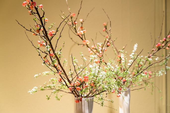 Floristik-und-Design-Ikebana_SSC-01_220.jpg (0.3 MB)