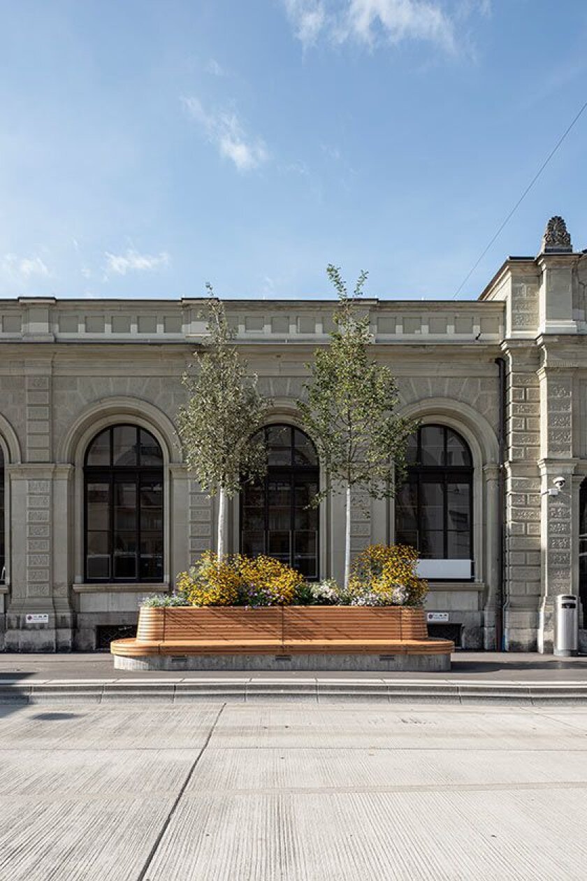 A building with arched windows stands behind a modern wooden bench planter featuring two young trees and yellow shrubs, set on a city sidewalk under a clear blue sky.