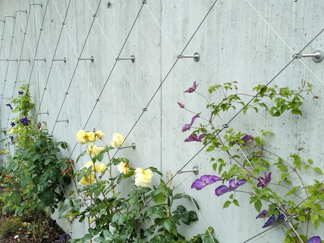 Yellow and purple flowers grow along a concrete wall supported by a diamond-shaped grid of metal wires attached to the wall with bolts. Green leaves and stems climb up the wire structure.