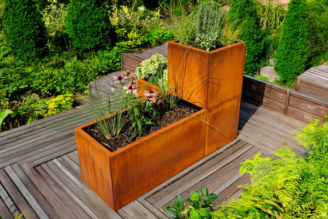 Rostfarbene rechteckige Metallt&ouml;pfe mit Ziergr&auml;sern und violetten Sonnenhutblumen stehen auf einer Holzterrasse, umgeben von &uuml;ppig gr&uuml;nem Gartenlaub und Str&auml;uchern.