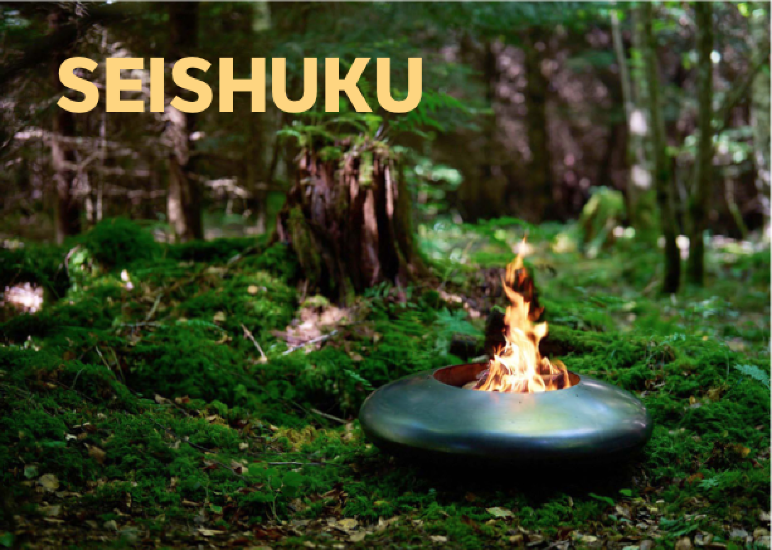 Eine moderne, runde Feuerstelle mit Flammen brennt auf moosbewachsenem Boden in einem sonnenbeschienenen Wald. Das Wort SEISHUKU steht in großen gelben Buchstaben in der oberen linken Ecke.