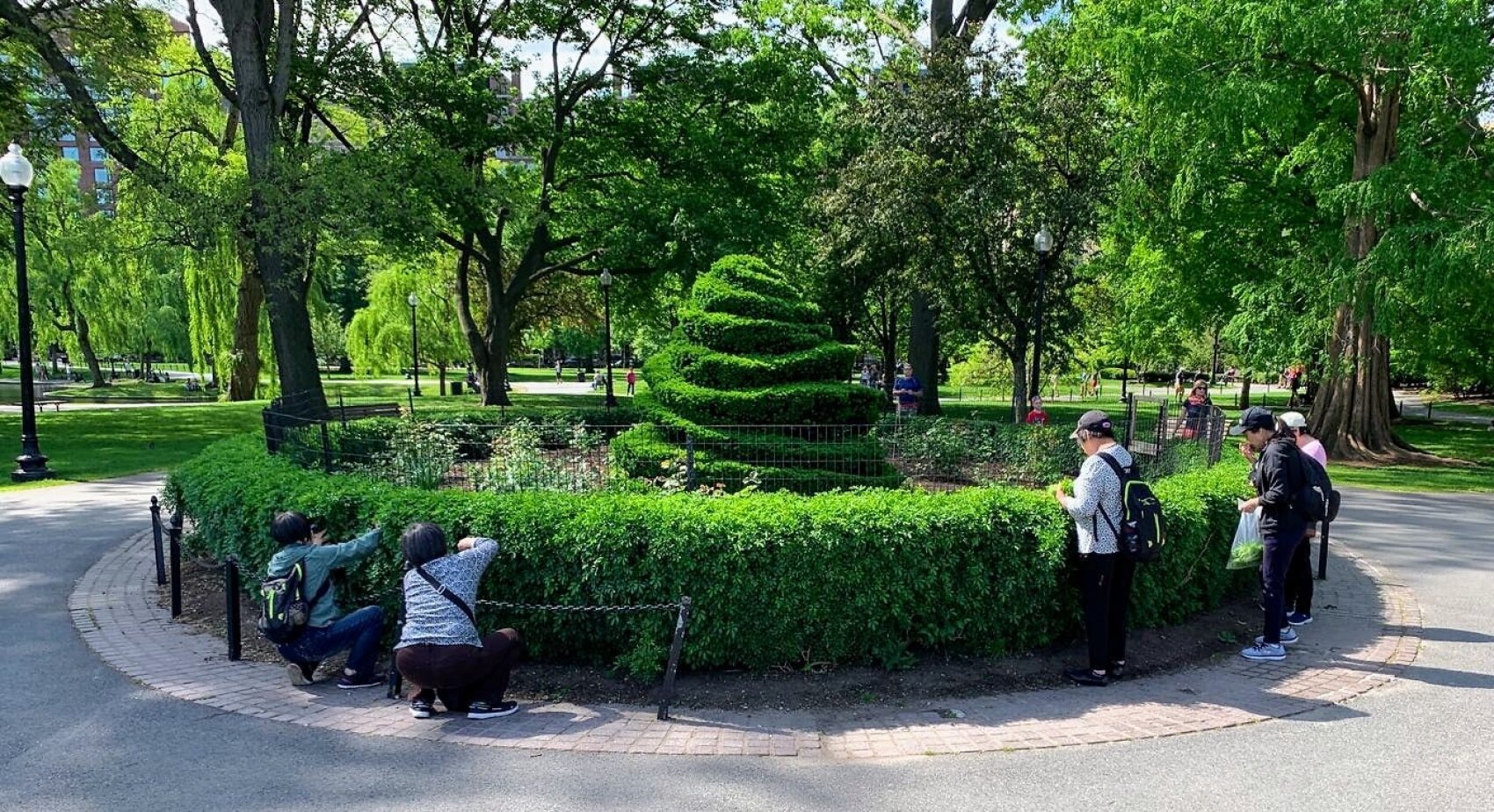 An einem sonnigen Tag versammeln sich mehrere Personen um eine kreisförmige Hecke, um einen großen, spiralförmigen Formschnitt in einem Park mit üppig grünen Bäumen zu fotografieren.