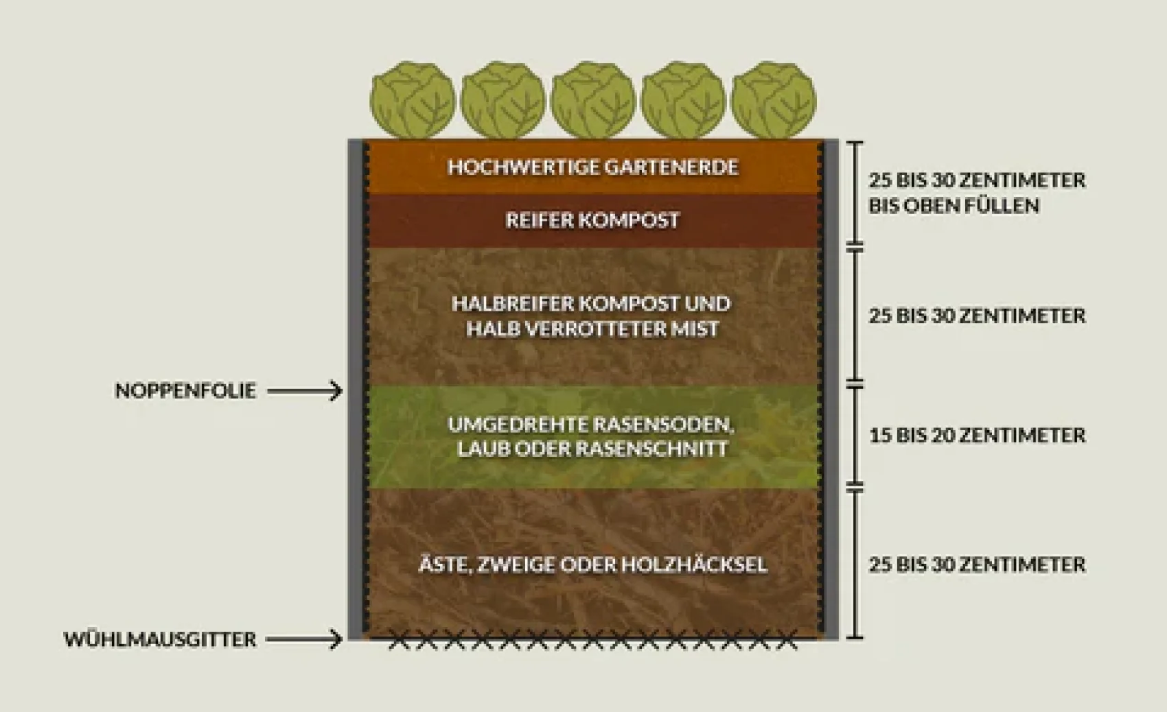 Cross-section of a raised bed: From bottom to top, layers of vole mesh, branches/twigs/wood chippings, turned turf/leaves, semi-rotted manure, compost and garden soil are shown, with height information.