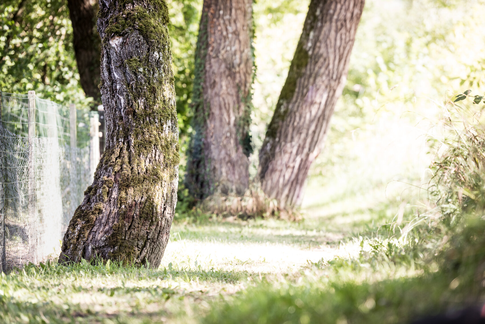 Wir produzieren nachhaltig und ressourcenschonend. Unser Holz stammt aus der Region.